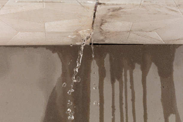 Professional Structural Drying technician working in New Castle, DE